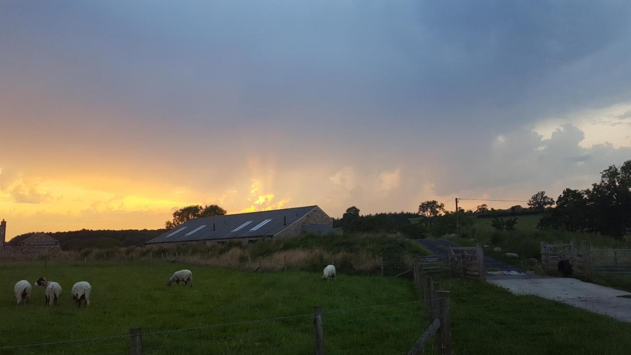 Keld Barn, Low Ploughlands Holiday Lets Kirkby Stephen Esterno foto